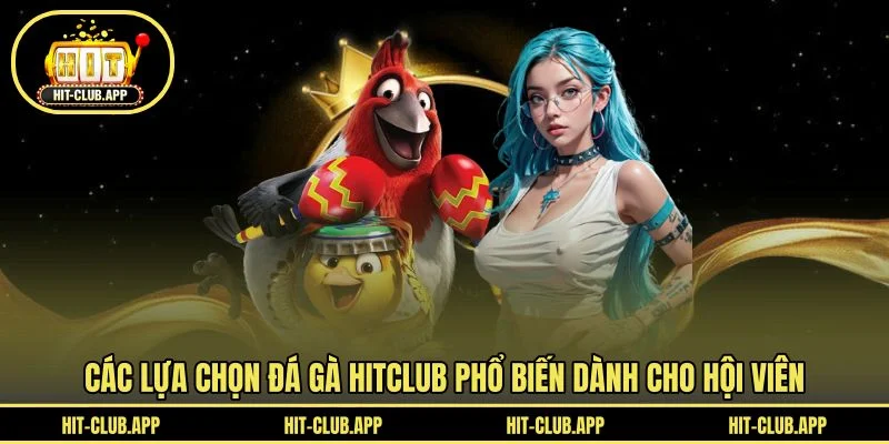 Các lựa chọn đá gà HITCLUB phổ biến dành cho hội viên Các lựa chọn đá gà HITCLUB phổ biến dành cho hội viên