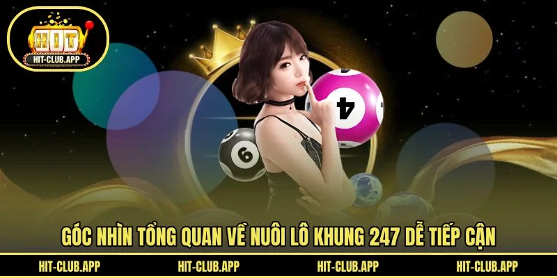 Góc nhìn tổng quan về nuôi lô khung 247 dễ tiếp cận Góc nhìn tổng quan về nuôi lô khung 247 dễ tiếp cận