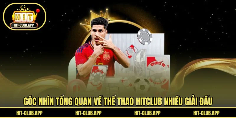 Góc nhìn tổng quan về thể thao HITCLUB nhiều giải đấu Góc nhìn tổng quan về thể thao HITCLUB nhiều giải đấu