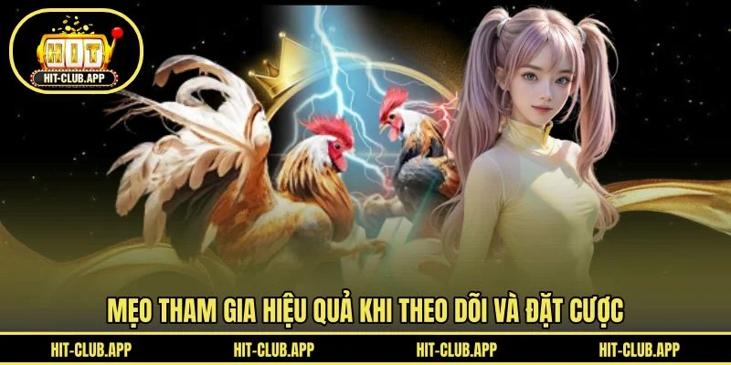 Mẹo tham gia hiệu quả khi theo dõi và đặt cược Mẹo tham gia hiệu quả khi theo dõi và đặt cược