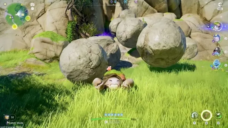 Bản Chất Lối Chơi Và Hệ Thống Sinh Vật Trong Aniimo Game