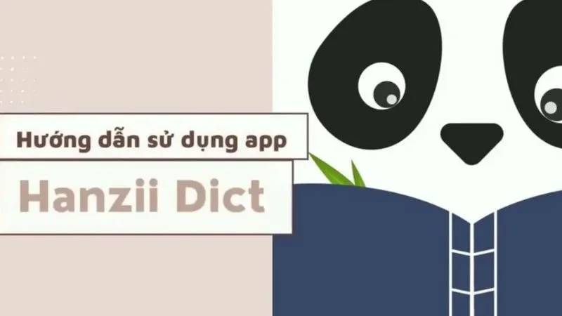 Cách sử dụng Hanzii Dict hiệu quả Cách sử dụng Hanzii Dict hiệu quả
